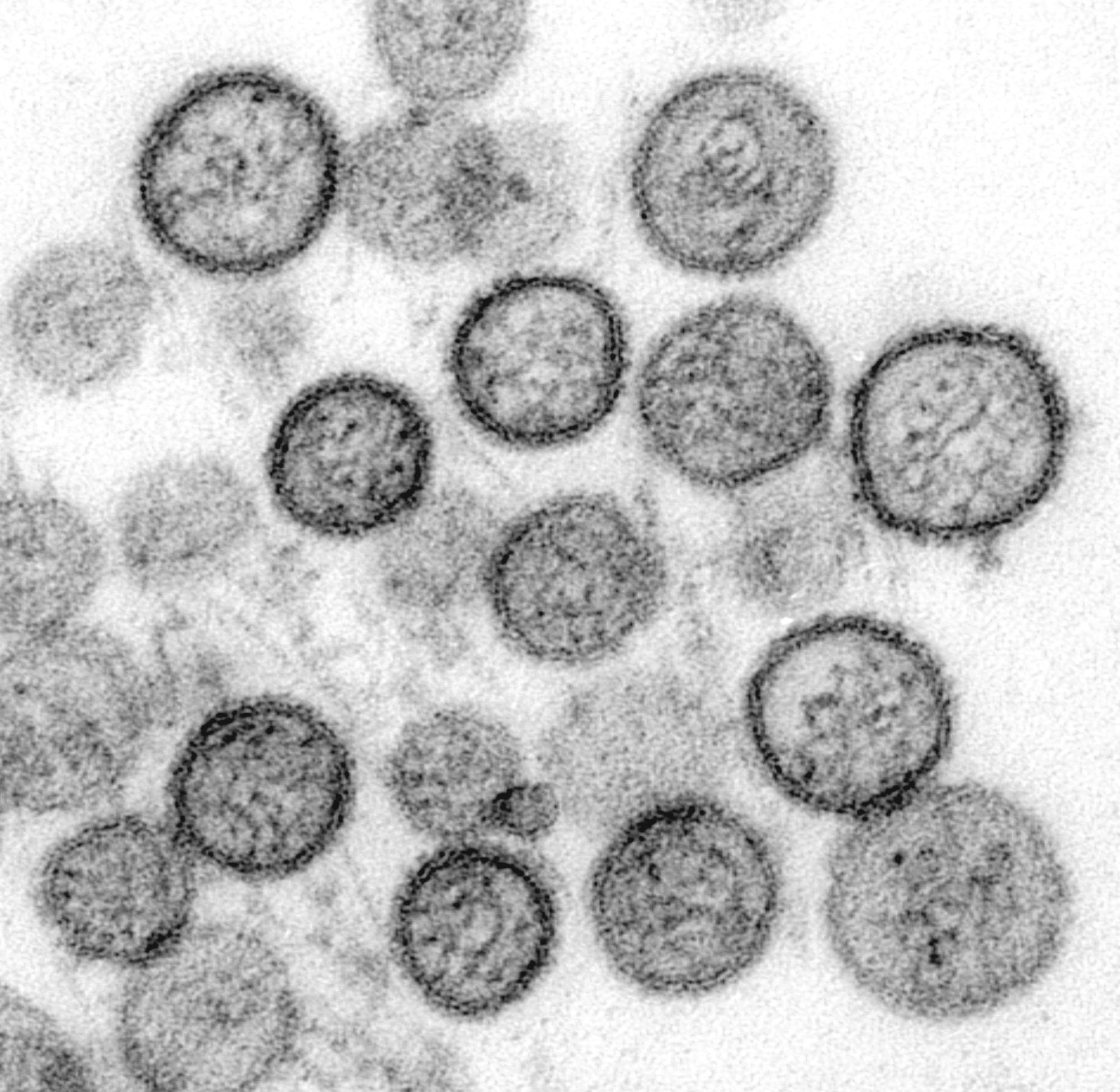 Imagem de referência de Virus, descrito nos dados abertos como filme de 1999 dirigido por John Bruno