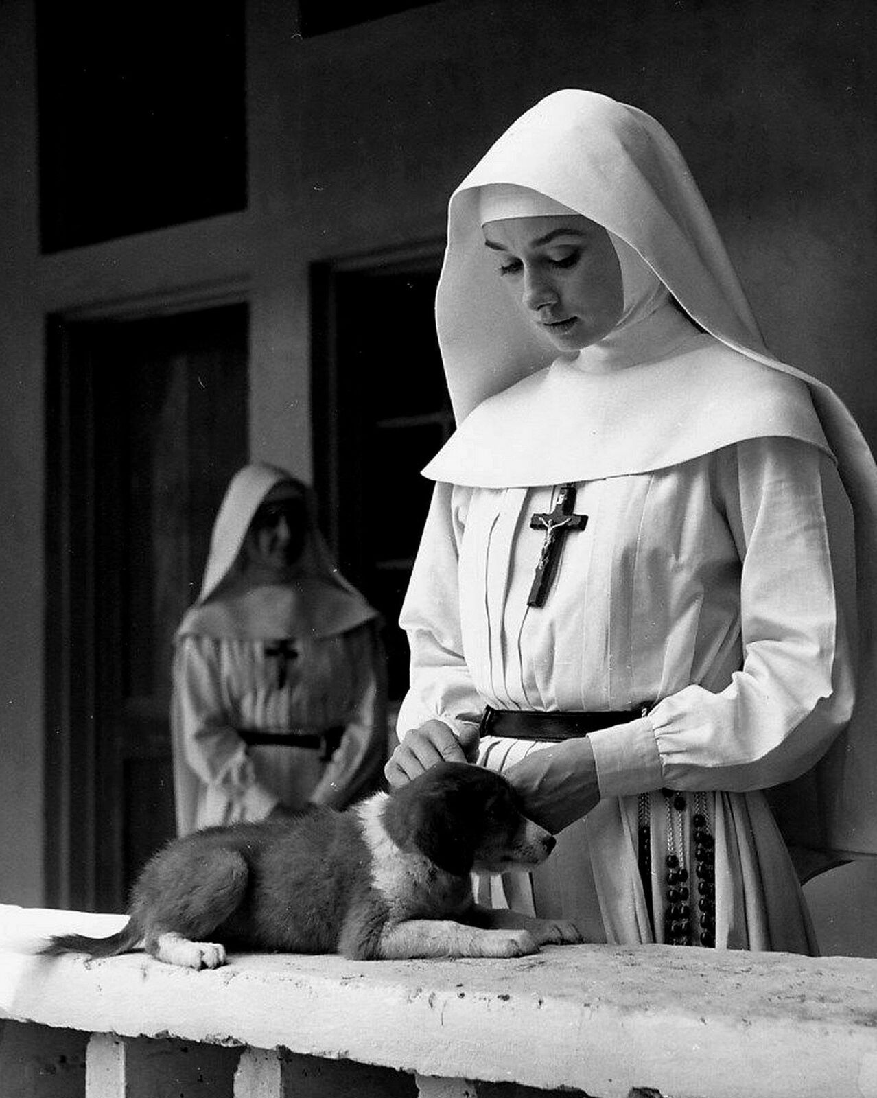 Imagem de referência relacionada a The Nun's Story, item descrito como filme de 1959 dirigido por Fred Zinnemann
