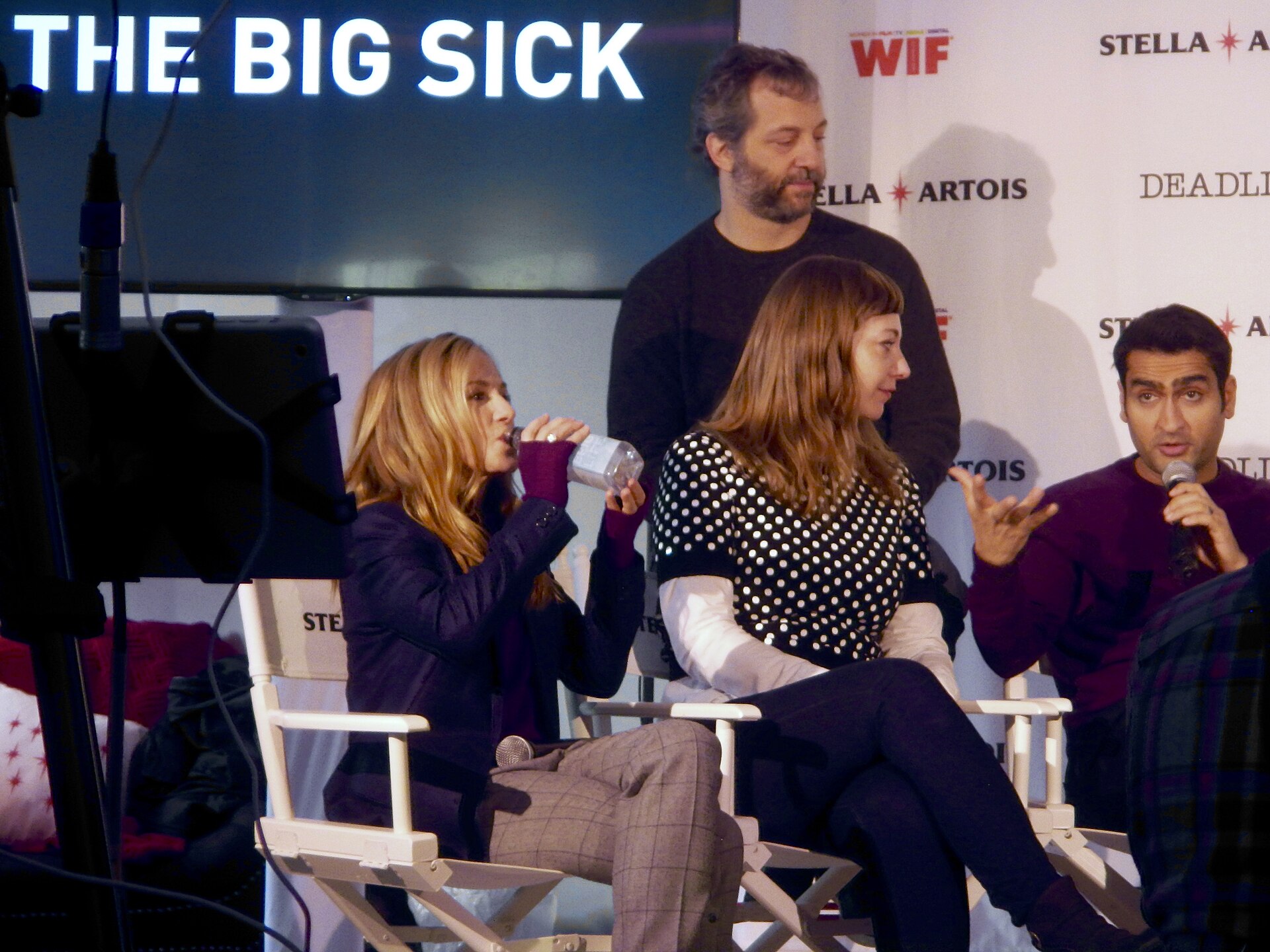 Imagem de referência relacionada a The Big Sick, item descrito como filme de 2017 dirigido por Michael Showalter