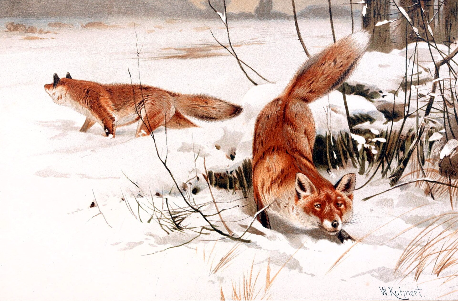 Imagem de referência relacionada a The Little Foxes, item descrito como filme de 1941 dirigido por William Wyler