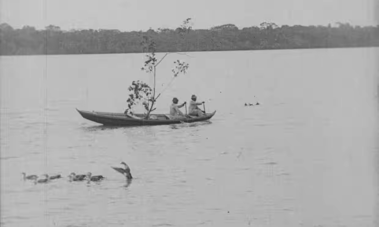 Imagem de referência relacionada a Amazonas, o maior rio do mundo, item descrito como média-metragem documental brasileiro
