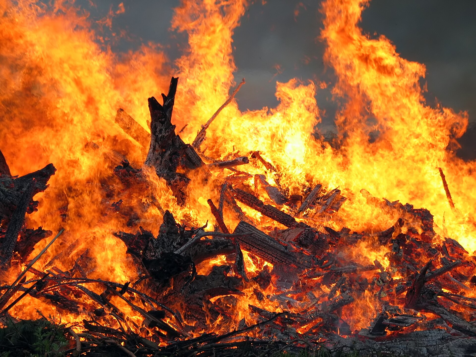 Imagem de referência de Midsommar, descrito nos dados abertos como filme de 2019 dirigido por Ari Aster