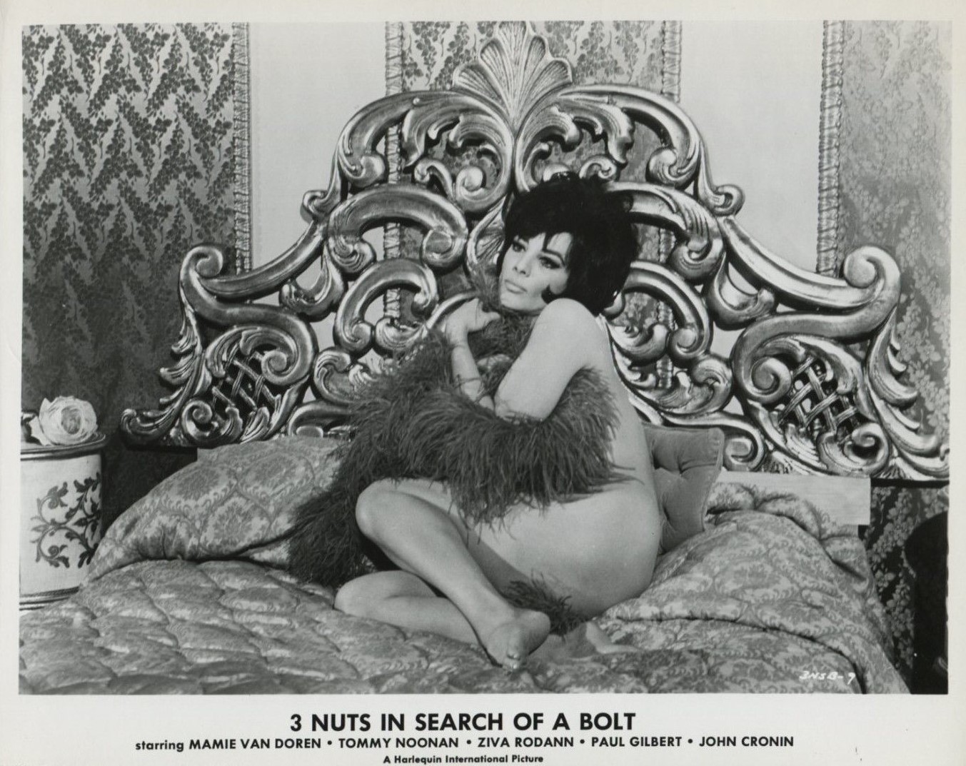 Imagem de referência relacionada a 3 Nuts in Search of a Bolt, item descrito como filme de 1964 dirigido por Tommy Noonan