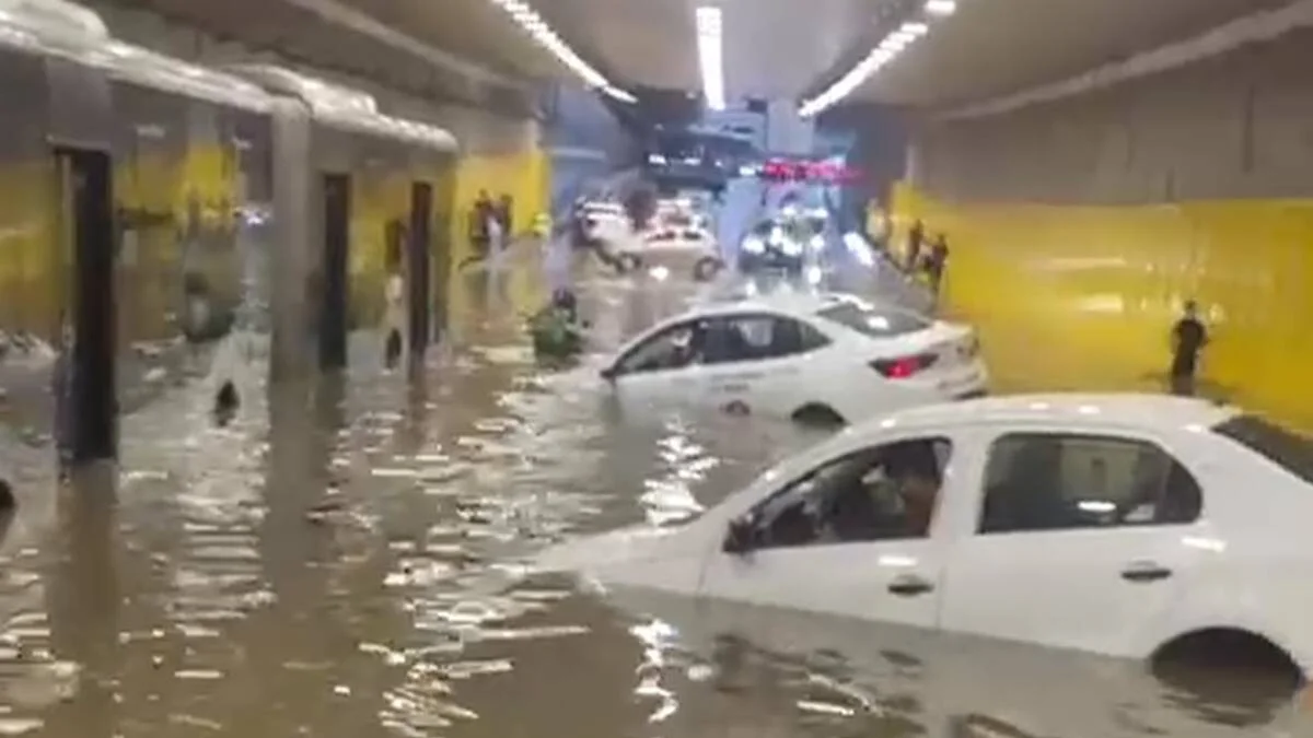 Vereadora cobrou Prefeitura de SP sobre prevenção 4 meses antes de temporal