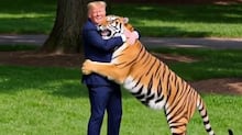 Trump demite Katie Zacharia do cargo de secretária de imprensa da Casa Branca após cinco dias, dizem assessores