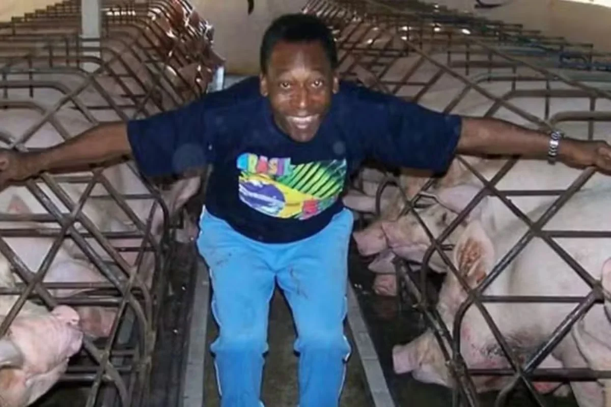 Localizado em Juquiá, no interior de São Paulo, o sítio de Pelé estava à venda por R$ 35 milhões. Fazenda tem um campo de futebol particular - Metrópoles