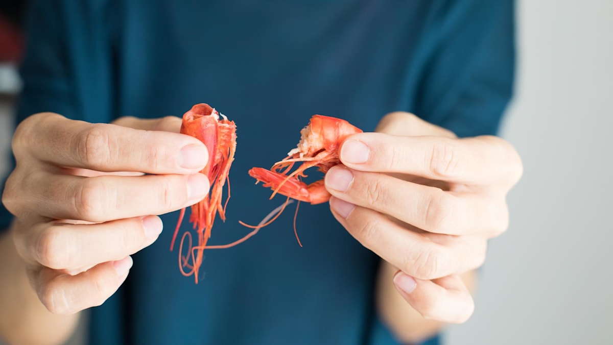 Alérgico a camarões? Um ensaio clínico em Singapura está estudando se é possível desenvolver tolerância