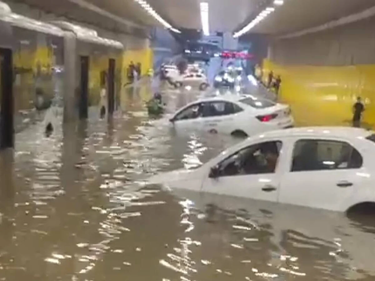 Vereadora cobrou Prefeitura de SP sobre prevenção 4 meses antes de temporal
