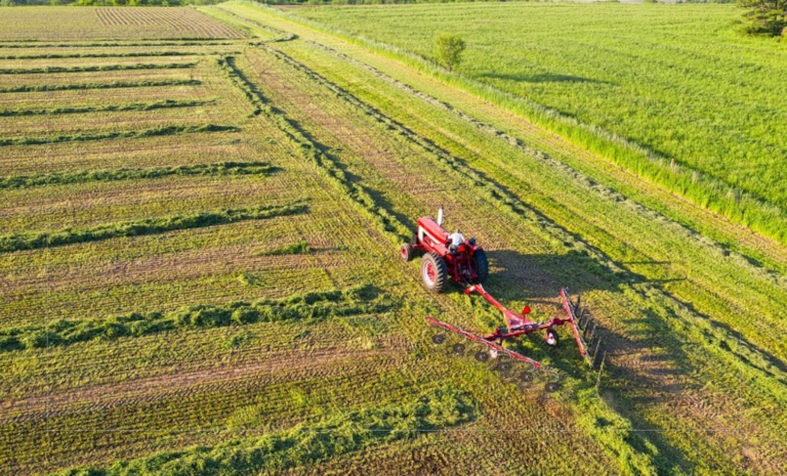 Estoques de Cédulas de Produto Rural (CPR) totalizaram R$ 597 bilhões em setembro Foto cedida: MAPA