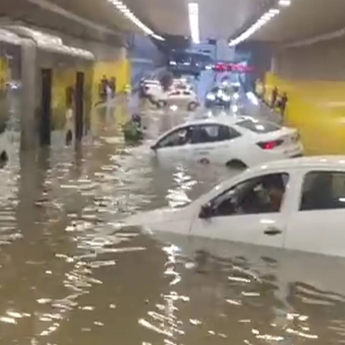 Vereadora cobrou Prefeitura de SP sobre prevenção 4 meses antes de temporal