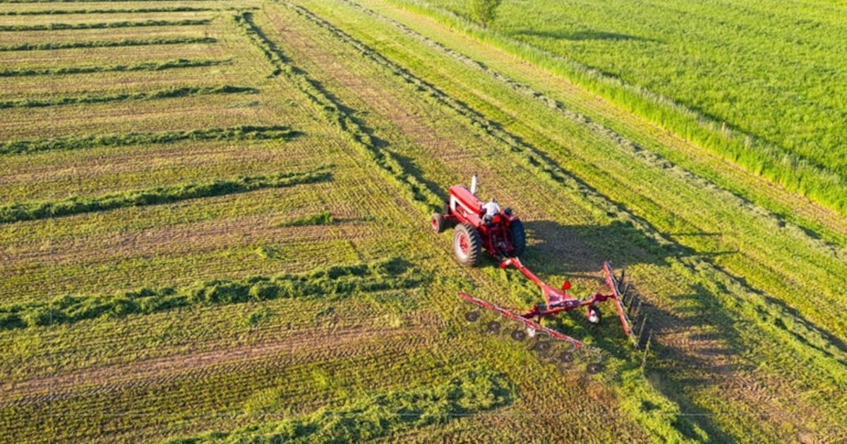 Crédito rural exige planejamento financeiro e atenção ao endividamento na safra 2026/2027